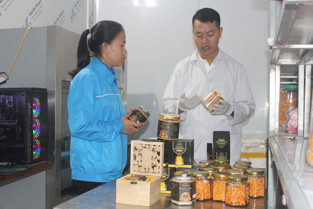 Phú Thọ: Tam Nông đưa sản phẩm OCOP vươn xa trên thị trường