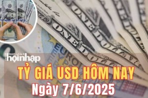 Tỷ giá USD hôm nay 7/6/2025: Đồng USD quay đầu tăng nhẹ