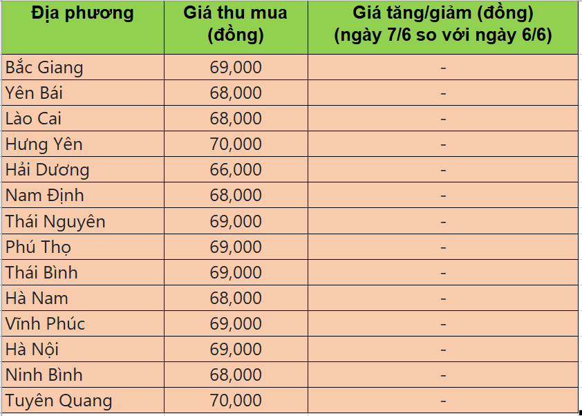 Bảng giá heo hơi tại miền Bắc hôm nay 7/6/2025