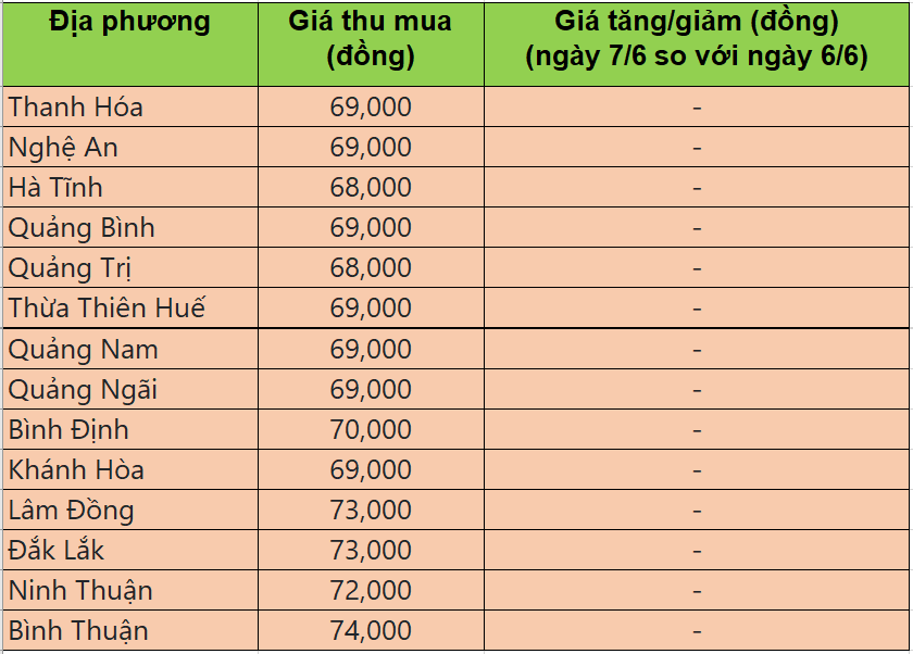 Bảng giá heo hơi tại miền Trung - Tây nguyên hôm nay 7/6/2025