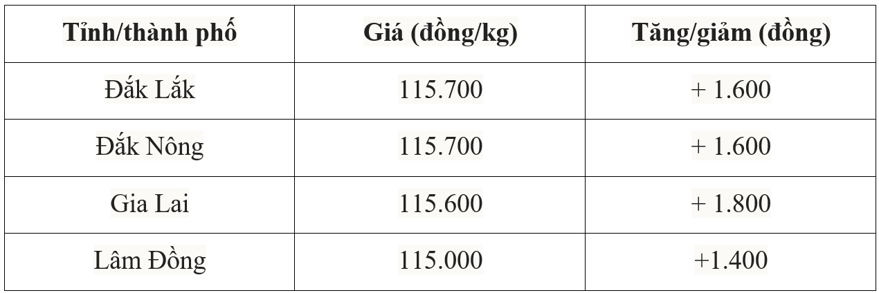 Giá cà phê trong nước hôm nay 