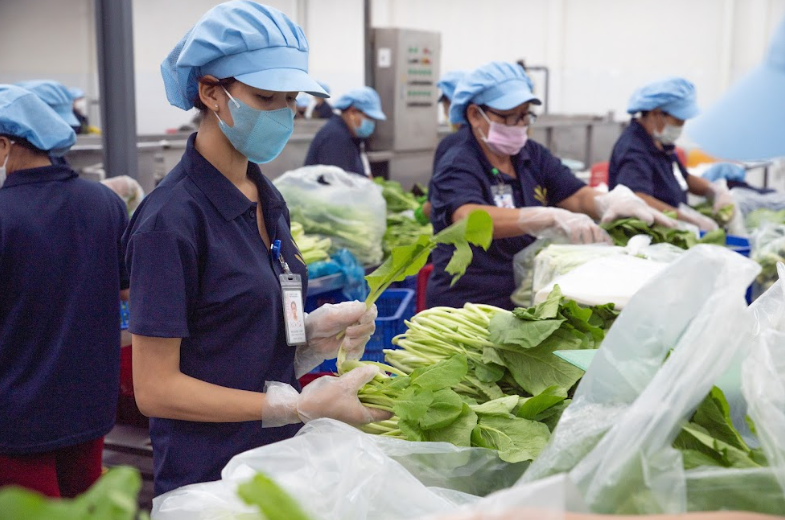 Doanh nghiệp Việt đang vật lộn với chi phí đầu vào tăng cao Doanh nghiệp Việt đang vật lộn với chi phí đầu vào tăng cao