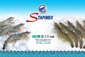 STAPIMEX bị áp thuế chống bán phá giá 35,29%: Cảnh báo mới cho tôm Việt Nam tại Mỹ