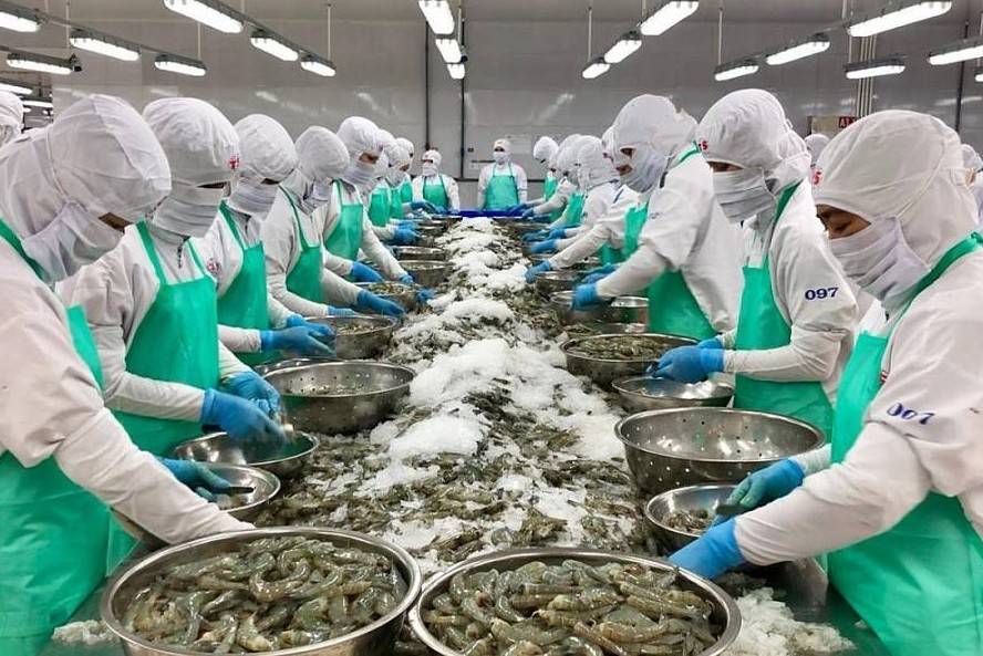 Xuất khẩu thủy sản: Doanh nghiệp Việt chủ động thích ứng, mở đường tăng trưởng