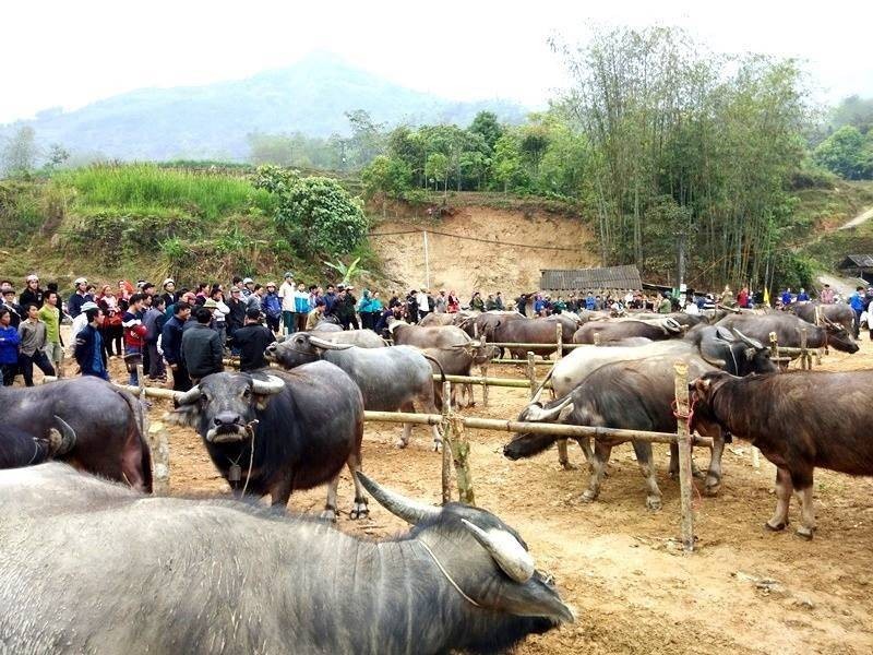 Nơi biên cương rộn ràng sắc chợ, đậm đà hồn du lịch