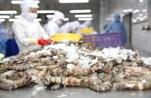 23 doanh nghiệp tôm Việt bị áp thuế chống bán phá giá hơn 35% từ Mỹ