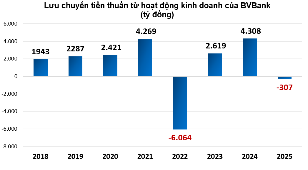 Sức khỏe tài chính của BVBank ra sao?