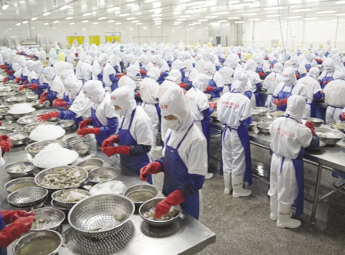 Nhiều doanh nghiệp xuất khẩu tôm sang Mỹ bị áp thuế CBPG hơn 35%, duy nhất công ty hưởng 0% là ai?