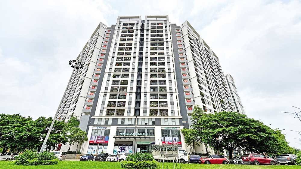 Nhà ở xã hội: Cung vẫn 