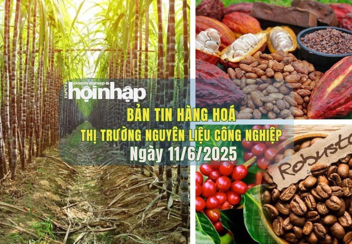 Thị trường nguyên liệu công nghiệp 11/6: Giá cà phê, đường và ca cao đồng loạt giảm