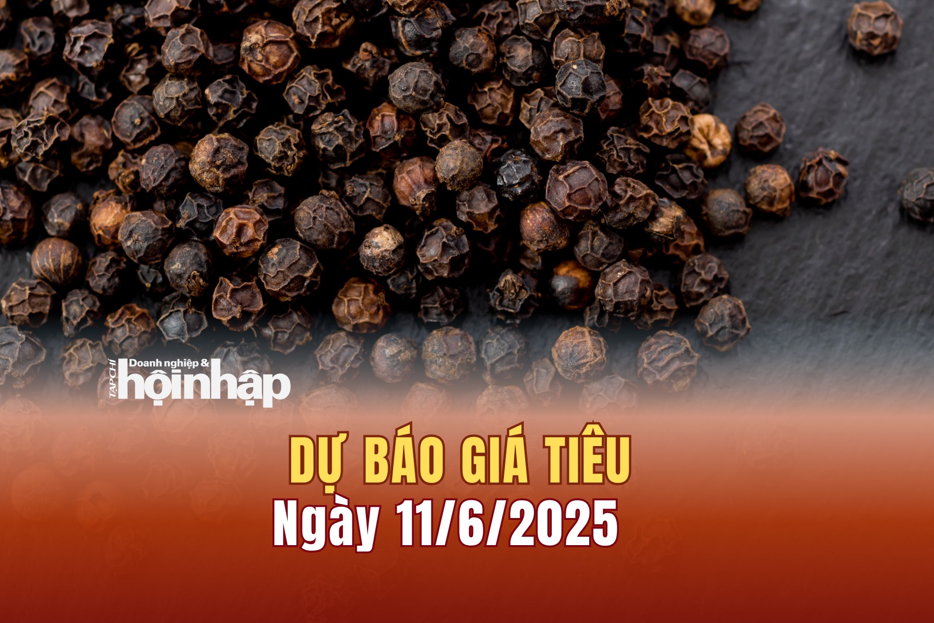 Dự báo giá tiêu 11/6: Giá tiêu trong nước đồng loạt giảm sâu