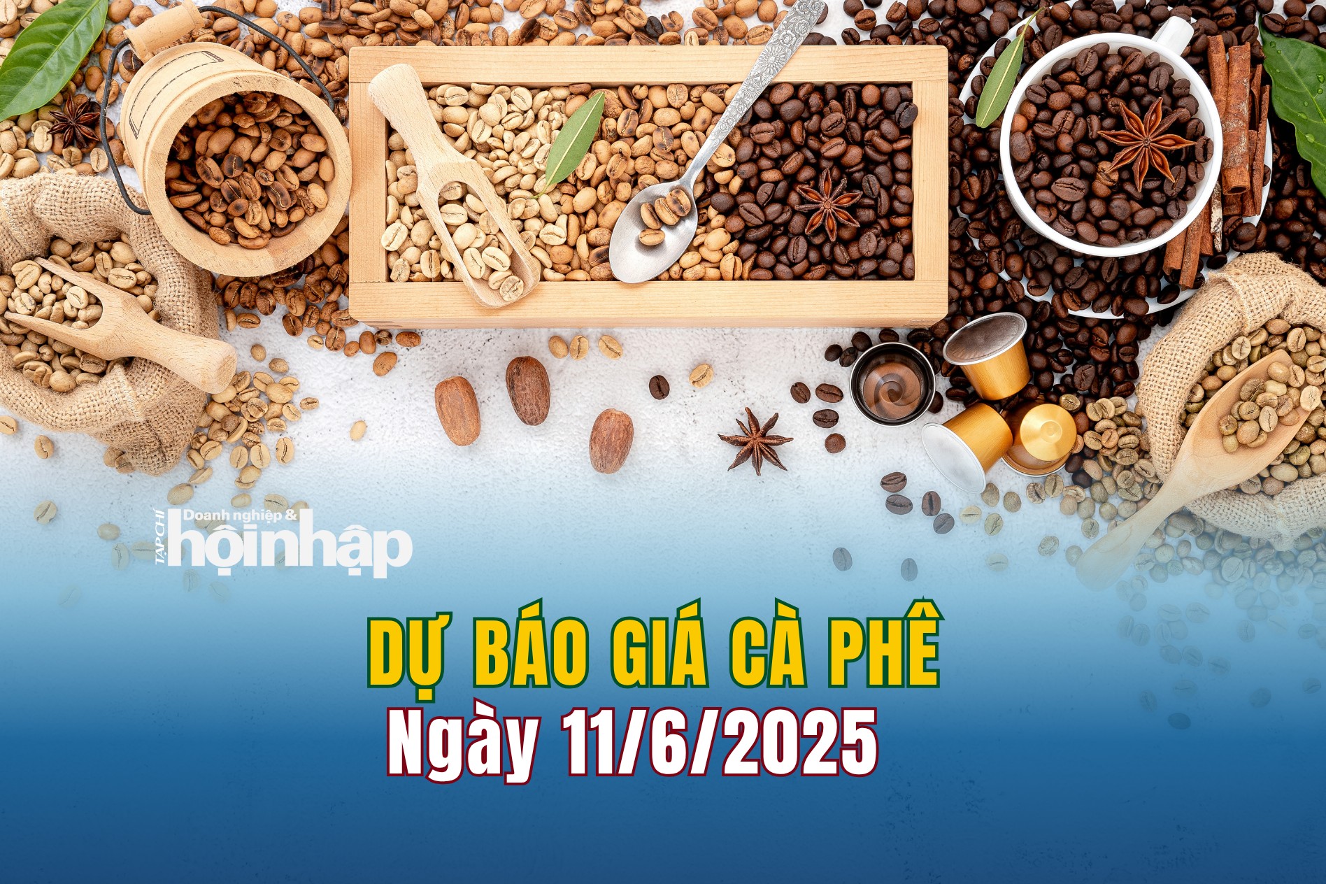 Dự báo giá cà phê 11/6: Giá cà phê trong nước "quay xe" tăng mạnh