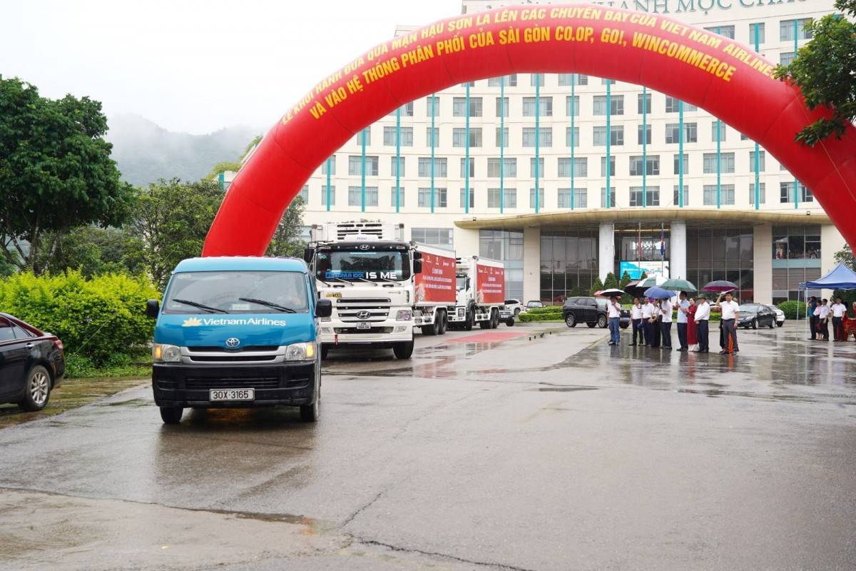 Mận hậu Sơn La cất cánh cùng Vietnam Airlines