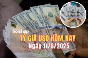 Tỷ giá USD hôm nay 11/6/2025: Đồng USD đảo chiều tăng nhẹ