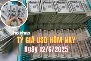 Tỷ giá USD hôm nay 12/6/2025: Đồng USD quay đầu suy yếu