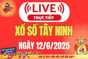 Xổ số Tây Ninh hôm nay ngày 12/6/2025 - XSTN 12/6 - Kết quả xổ số Tây Ninh hôm nay