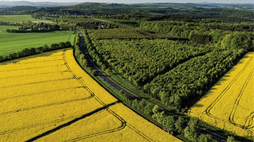 Đề xuất tiếp tục miễn thuế đất nông nghiệp đến 2030 tạo sinh kế cho người dân