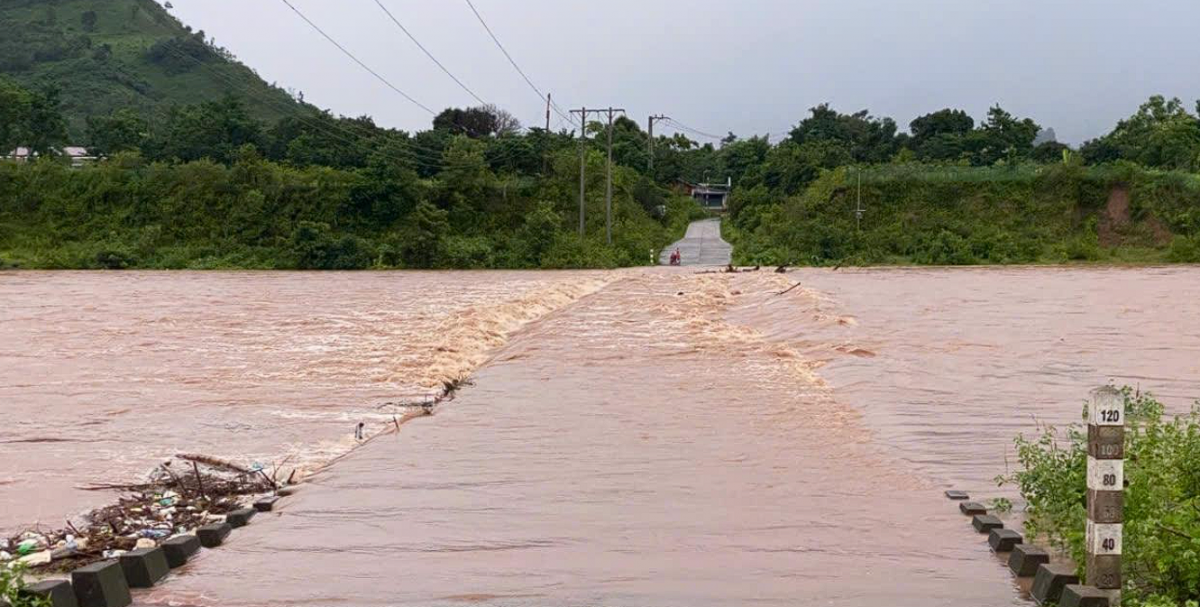 Quảng Trị: Mưa lớn do bão WUTIP, hàng nghìn ha hoa màu ngập úng
