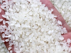 Gạo Việt xanh phát thải thấp: Nhiều cơ hội tiến vào thị trường quốc tế