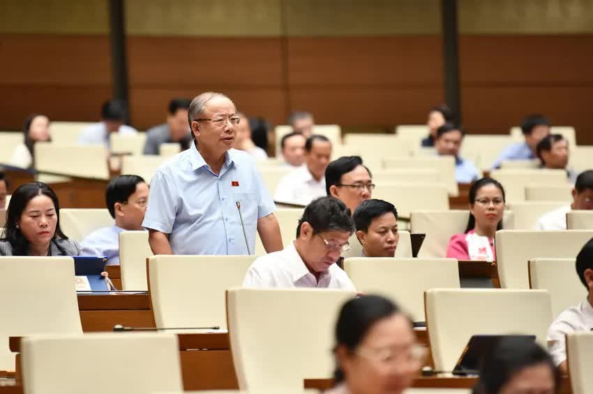 Đại biểu Nguyễn Văn Thân - Chủ tịch Vinasme: 