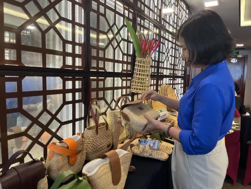 Dự án Khởi nghiệp Xanh 2025: Khơi nguồn sức mạnh nội lực địa phương