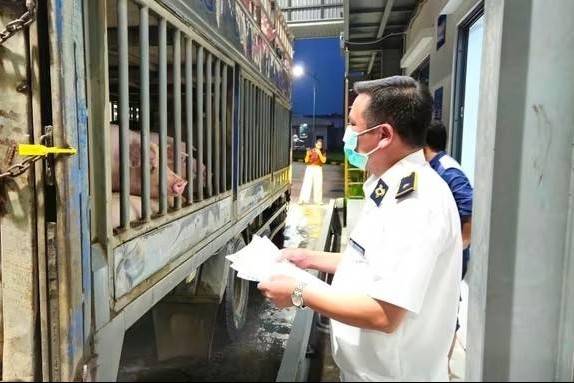 Hà Nội kiểm tra đột xuất nhà máy giết mổ của C.P Việt Nam trong đêm
