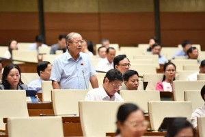 Đại biểu Nguyễn Văn Thân - Chủ tịch Vinasme: "Không thể có thử nghiệm trong cuộc chơi này"