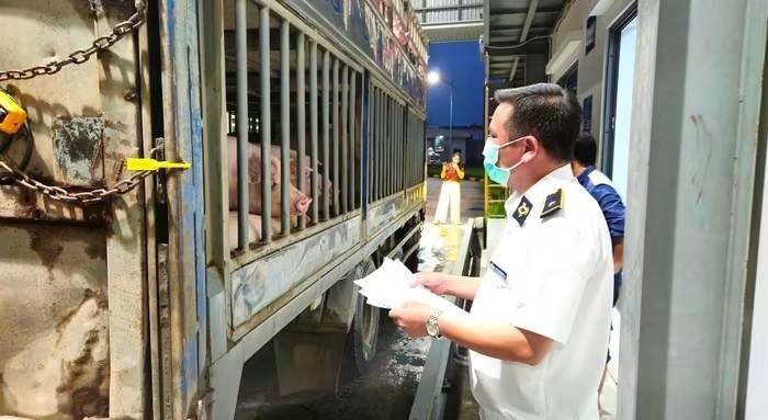 Hà Nội kiểm tra đột xuất nhà máy giết mổ của C.P Việt Nam trong đêm