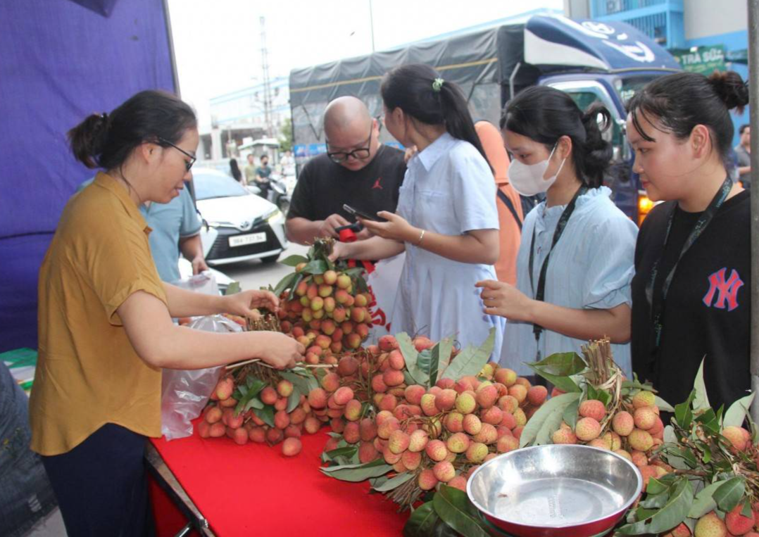 Tuần lễ vải thiều Lục Ngạn tại các khu công nghiệp tỉnh Bắc Giang Tuần lễ vải thiều Lục Ngạn tại các khu công nghiệp tỉnh Bắc Giang