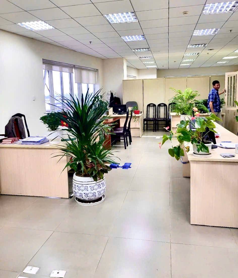 Xây dựng tuyến xe buýt phục vụ 2.600 người lao động cho tỉnh Lâm Đồng mới