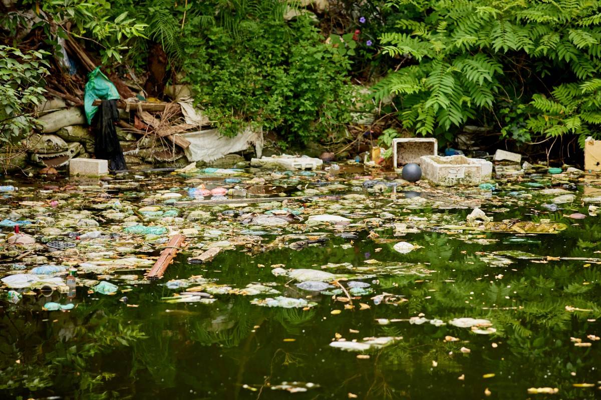 Cận cảnh các tuyến đường Hồ Tây sẽ sớm “lột xác” sau cải tạo