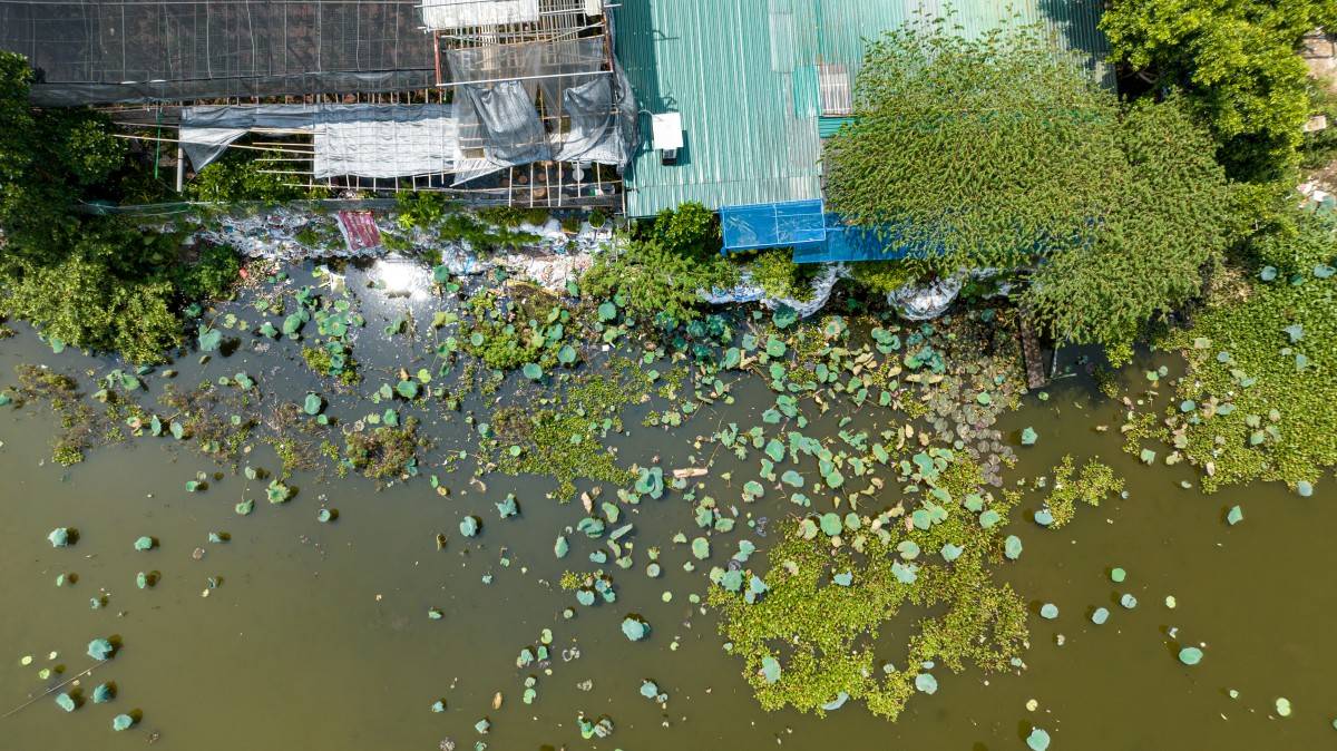 Cận cảnh các tuyến đường Hồ Tây sẽ sớm “lột xác” sau cải tạo