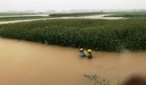 Lũ lụt giữa mùa hè: Cần thay đổi cảnh báo thiên tai