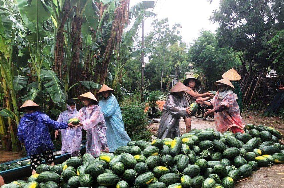 Thiên tai, Miền Trung, cảnh báo, mưa lớn, Biến đổi khí hậu 3