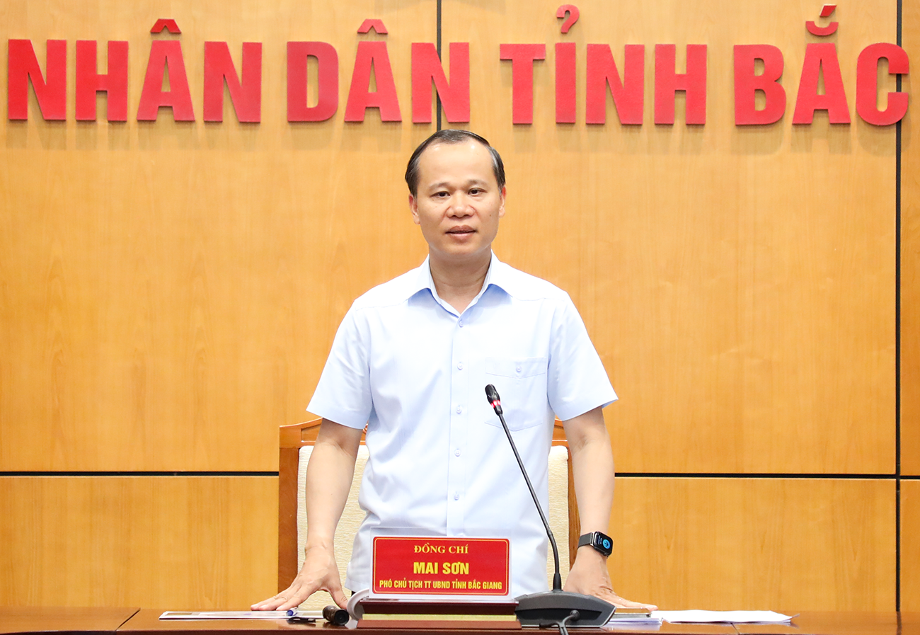 Phát biểu kết luận, Phó Chủ tịch Thường trực UBND tỉnh Bắc Giang Mai Sơn Tỉnh Bắc Ninh mới chuẩn bị Triển lãm thành tựu kinh tế - xã hội kỷ niệm 80 năm ngày Quốc khánh 2/9