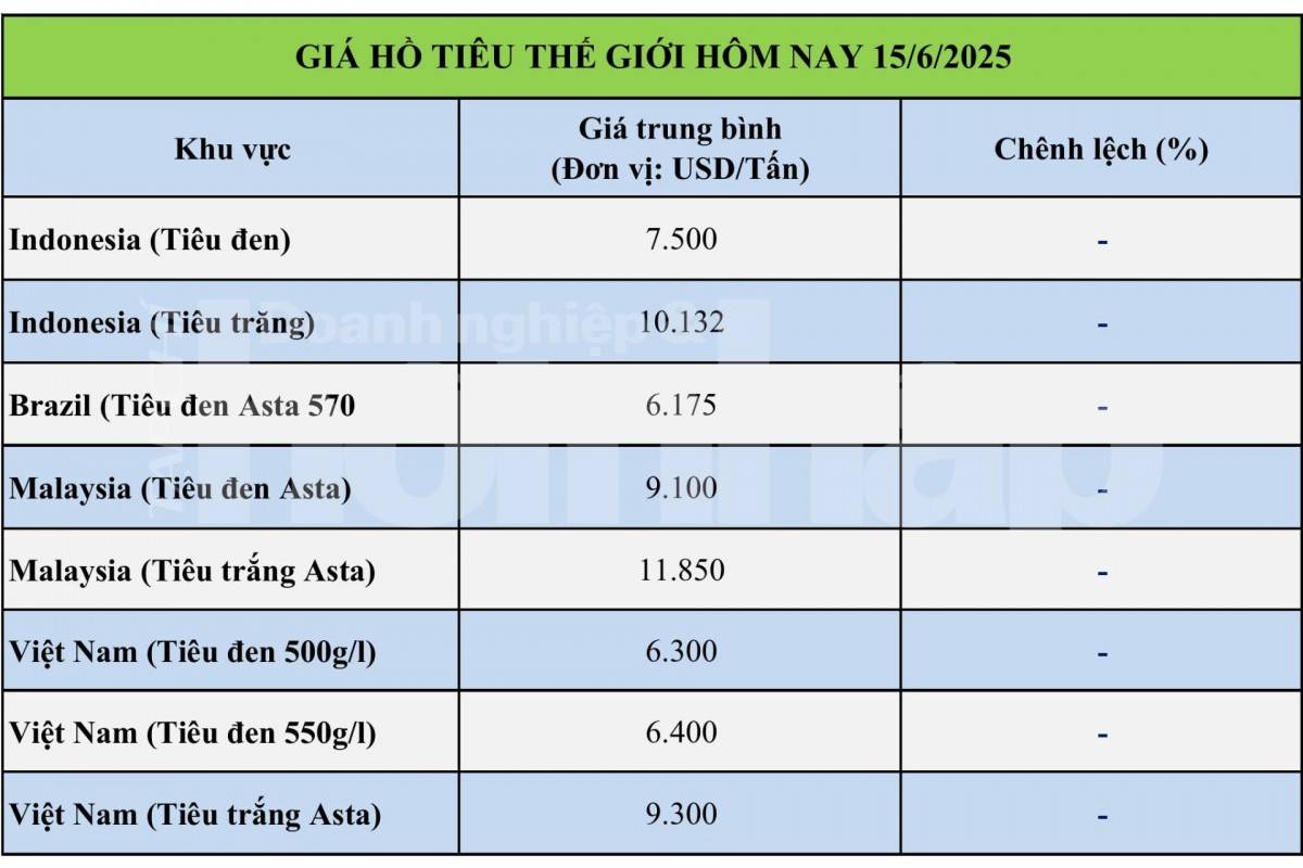 Giá tiêu hôm nay 14/6: Tiêu trọng nước bình ổn; tiêu thế giới giảm nhẹ Giá tiêu hôm nay 14/6: Tiêu trọng nước bình ổn; tiêu thế giới giảm nhẹ