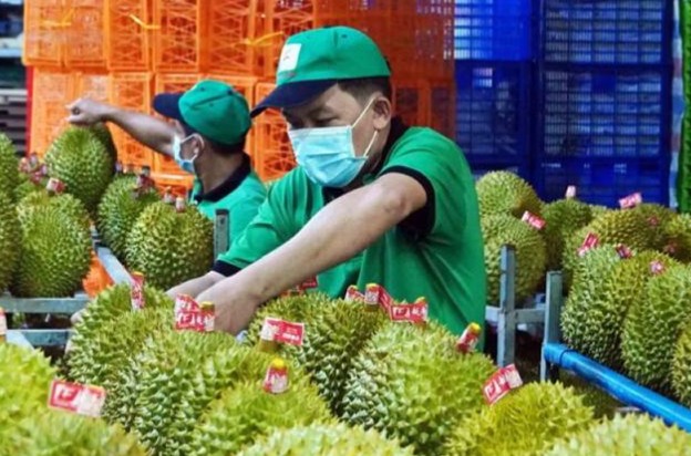 Xuất khẩu rau quả: Không có thị trường nào "dễ tính"