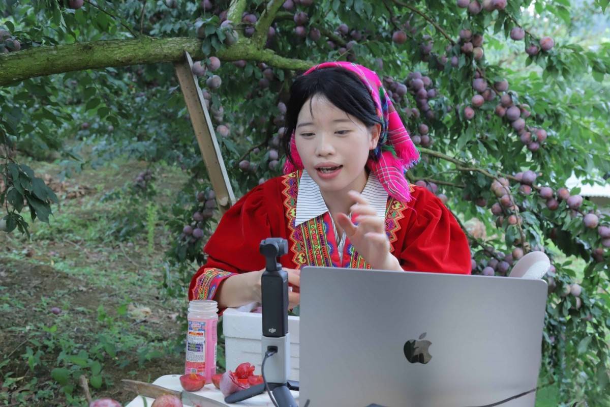 Sơn La tổ chức Mega Livestream tiêu thụ mận hậu và nông sản OCOP