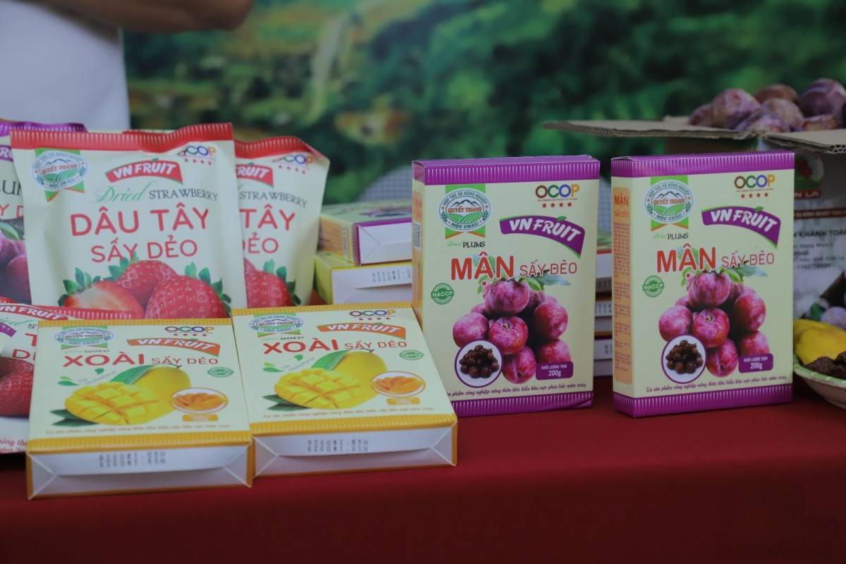 Sơn La tổ chức Mega Livestream tiêu thụ mận hậu và nông sản OCOP