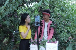 Sơn La tổ chức Mega Livestream tiêu thụ mận hậu và nông sản OCOP