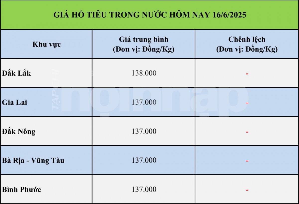 Giá tiêu hôm nay 15/6: Giá tiêu trong nước tiếp tục giảm sâu