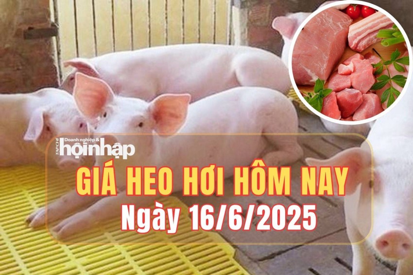 giá heo hơi
