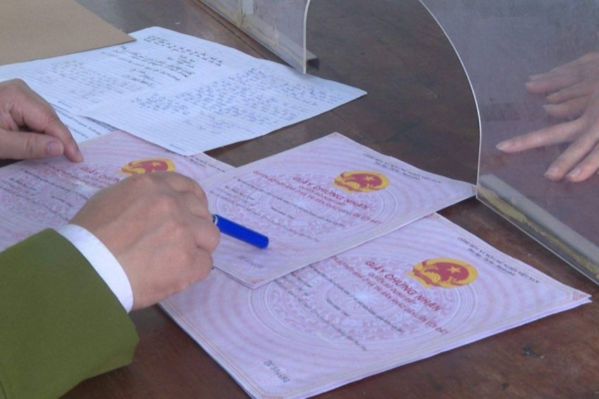 Cảnh báo nạn làm giả 