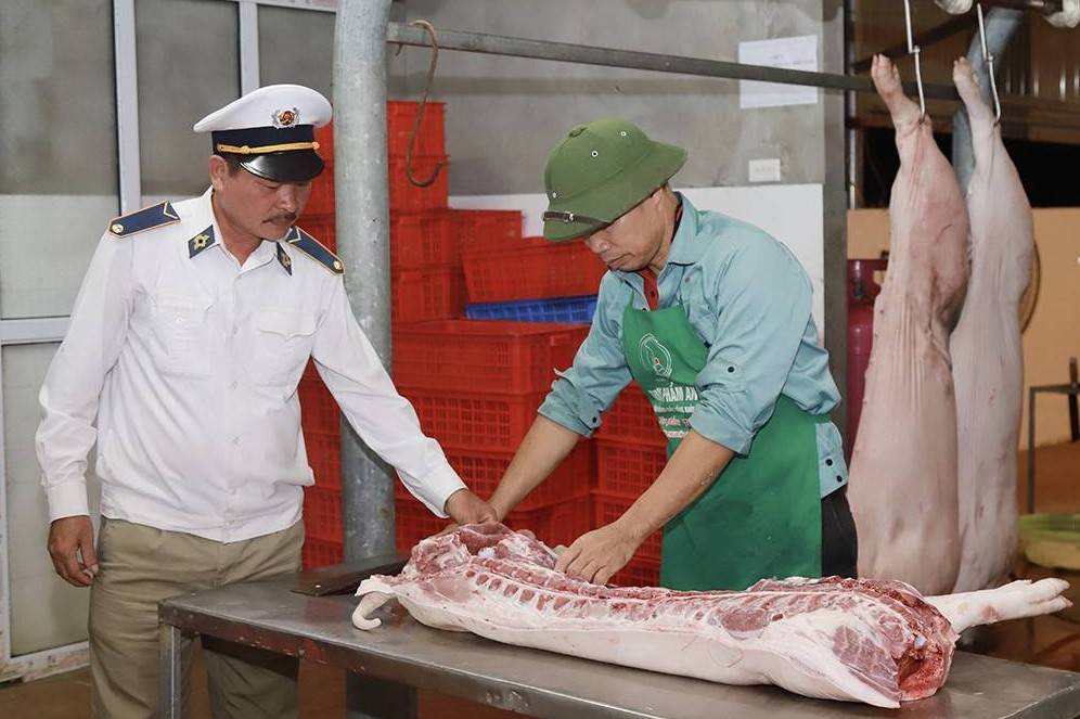 Phú Thọ siết chặt quản lý giết mổ, bảo vệ an toàn thực phẩm từ gốc