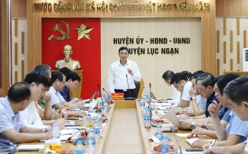 Bắc Giang tăng tốc xúc tiến tiêu thụ vải thiều niên vụ 2025