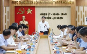 Bắc Giang tăng tốc xúc tiến tiêu thụ vải thiều niên vụ 2025