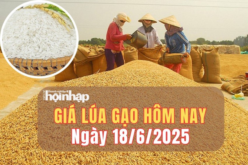 giá lúa gạo