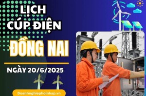 Lịch cúp điện Đồng Nai ngày 20/6/2025 mới nhất hôm nay
