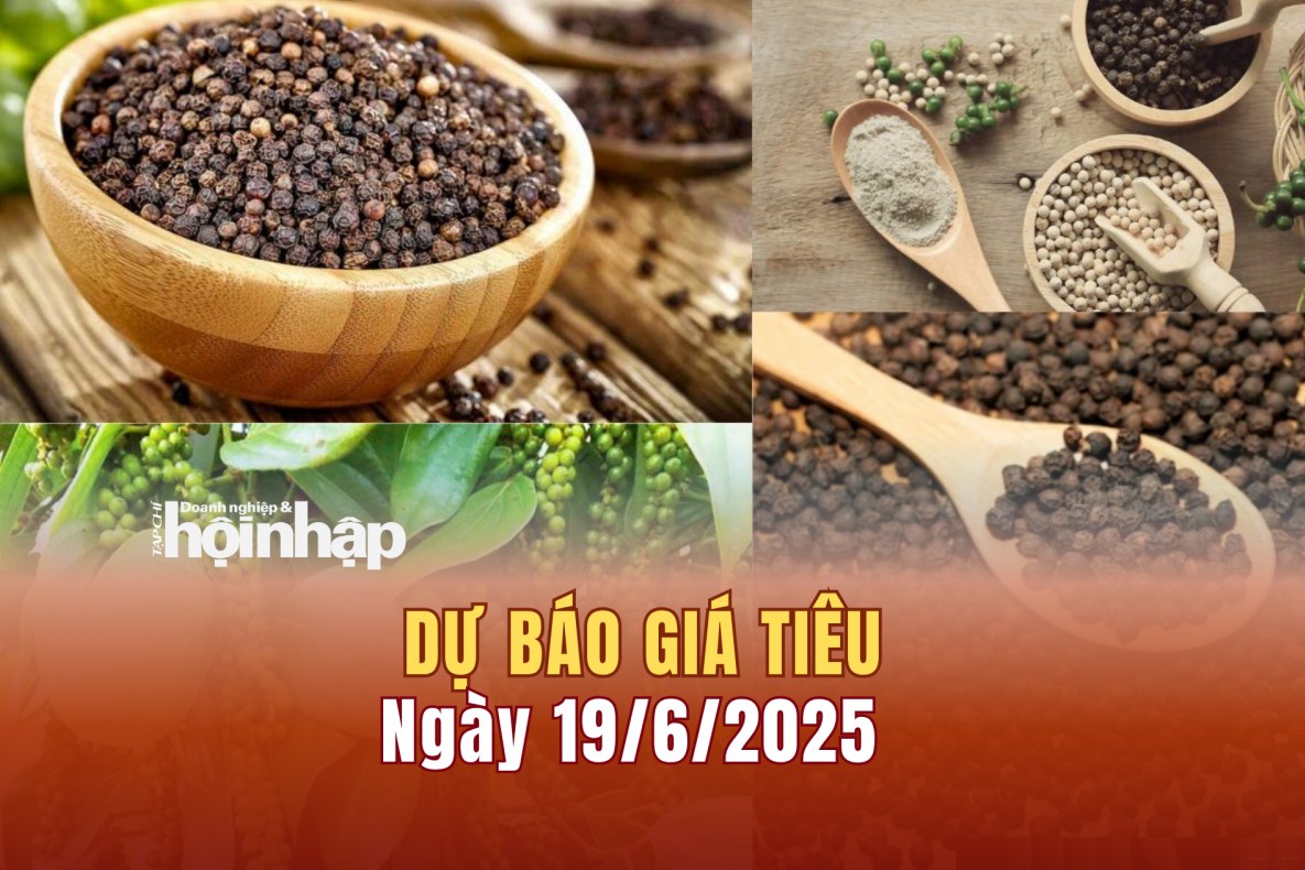 Dự báo giá tiêu 19/6: Giá tiêu trong nước tiếp tục xu hướng giảm