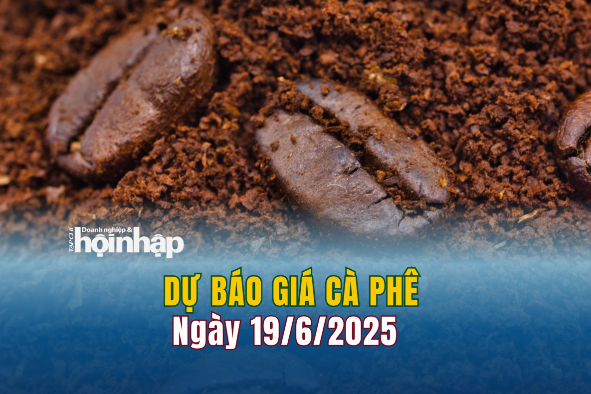 Dự báo giá cà phê 19/6: Giá cà phê trong nước tiếp đà "lao dốc"